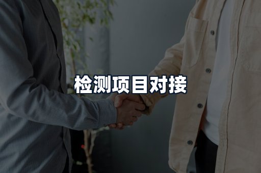 检测项目对接